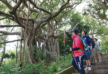 ぎのざ散策（松田）