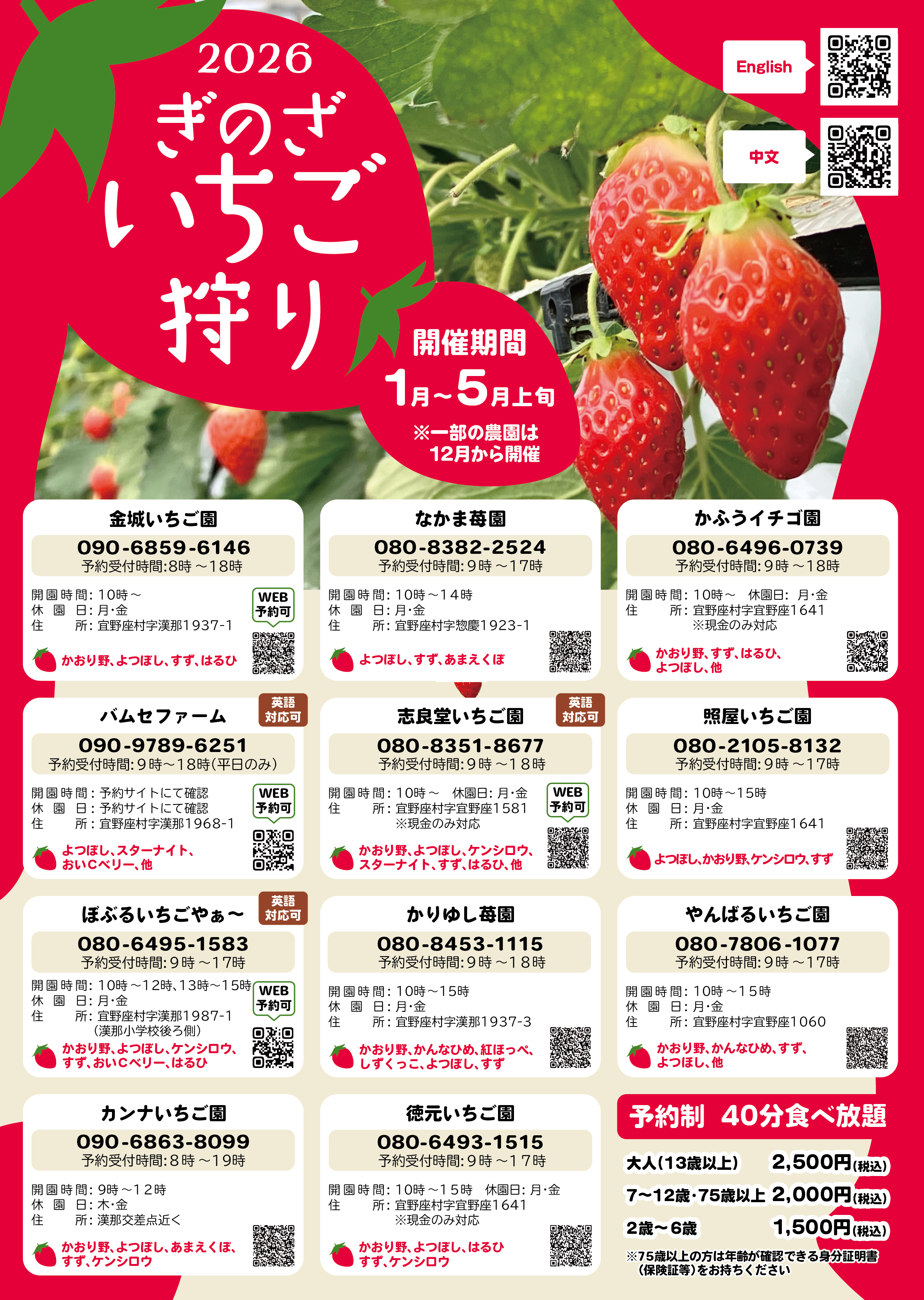 宜野座で楽しむいちごの季節｜いちご狩り ｜ ぎのざの”いいね”案内し